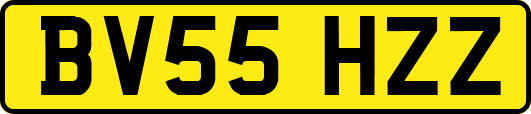 BV55HZZ
