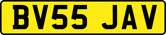 BV55JAV