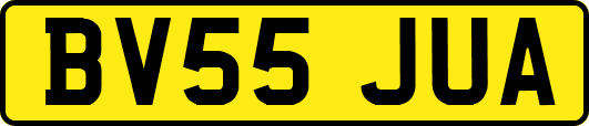 BV55JUA