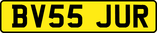 BV55JUR