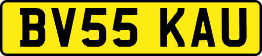 BV55KAU