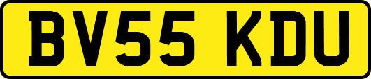 BV55KDU