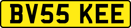 BV55KEE
