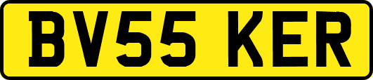BV55KER