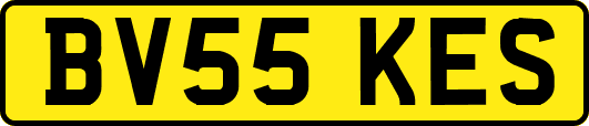 BV55KES
