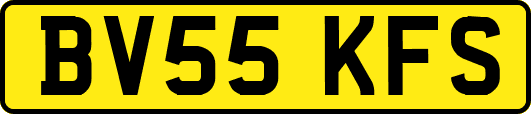 BV55KFS