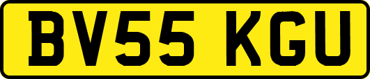 BV55KGU