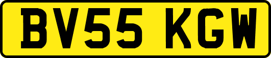 BV55KGW