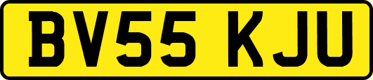 BV55KJU