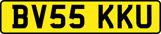BV55KKU