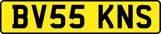 BV55KNS