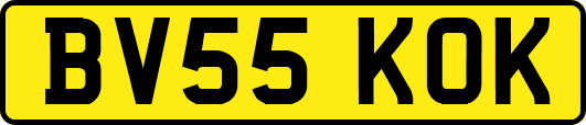BV55KOK