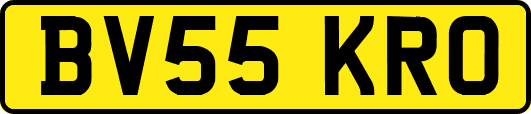 BV55KRO