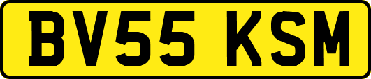 BV55KSM