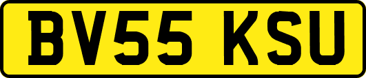 BV55KSU