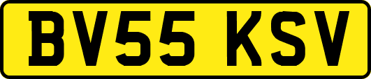 BV55KSV