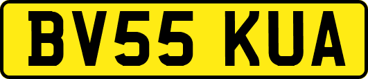 BV55KUA