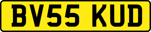 BV55KUD