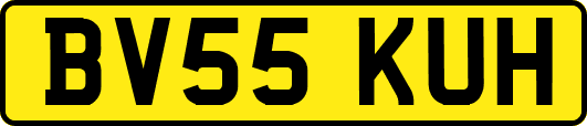 BV55KUH