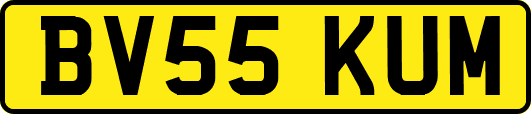 BV55KUM