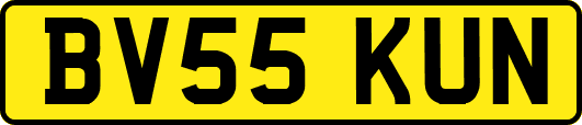 BV55KUN
