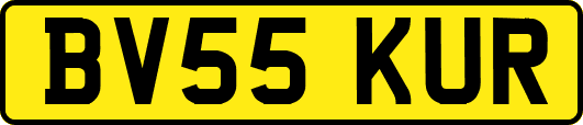 BV55KUR