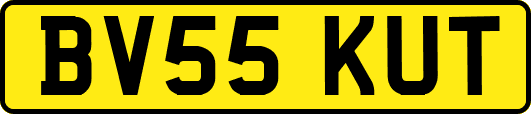 BV55KUT