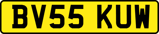 BV55KUW