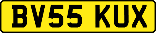 BV55KUX