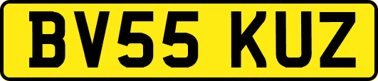 BV55KUZ