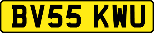 BV55KWU