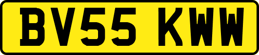 BV55KWW