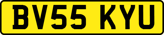 BV55KYU