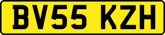 BV55KZH