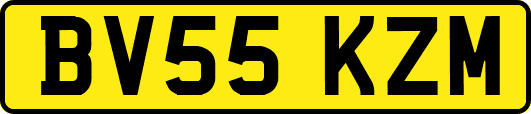 BV55KZM
