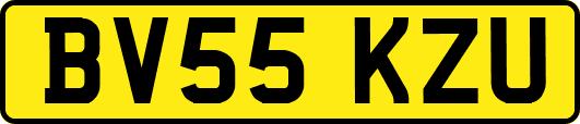 BV55KZU