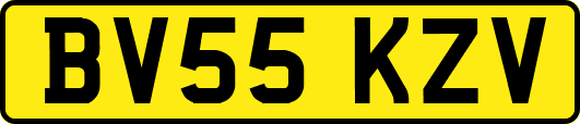 BV55KZV