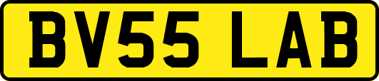 BV55LAB