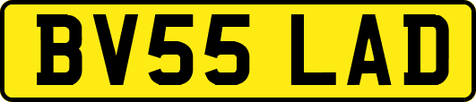 BV55LAD