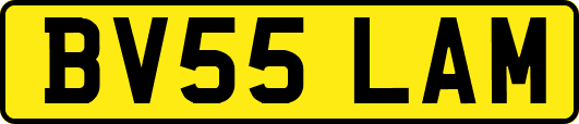 BV55LAM