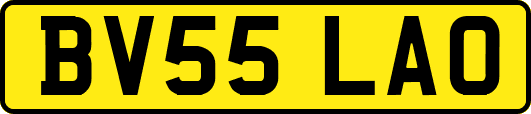 BV55LAO