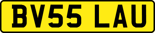 BV55LAU
