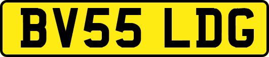 BV55LDG