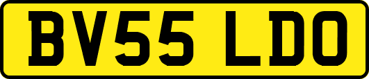 BV55LDO