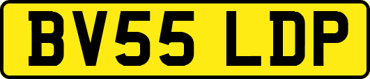 BV55LDP
