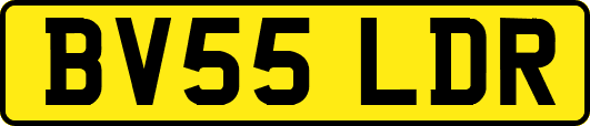 BV55LDR