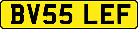 BV55LEF