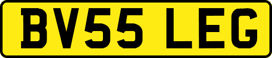 BV55LEG