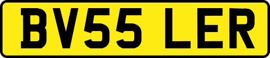 BV55LER