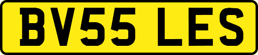 BV55LES